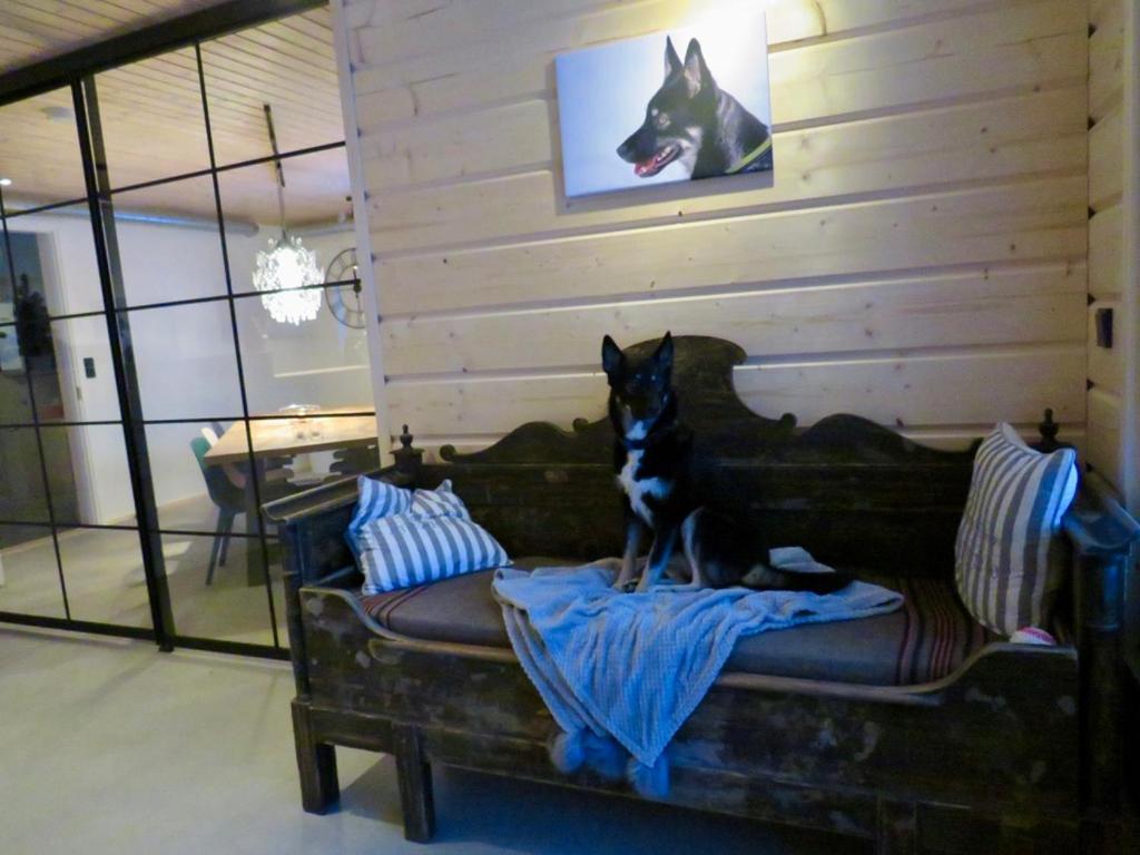 B&B Adventures Äkäslompolo Dış mekan fotoğraf
